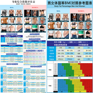 健身房瑜伽馆壁画体态评估体脂BMI姿势体适能肌肉脊柱指标表墙纸