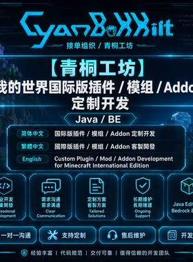 国际版插件/模组/Addon定制开发