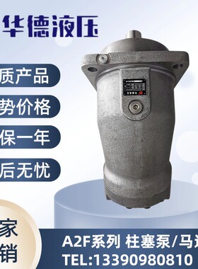 华德液压泵马达 A2F200R5P2 A2F250W2Z2 A2F355R2P1 A2F500柱塞泵