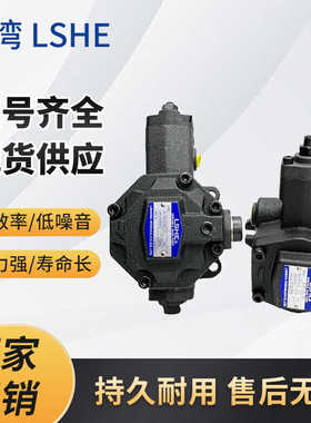 SVPF-20-70叶片泵 SVPF-30/40-70 55 SVPF-15/12/08-35 台湾LSHE