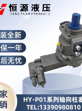 江苏恒源HY10/45/55/63/80/125/160/200/250P P01 P02 P03 P04-RP