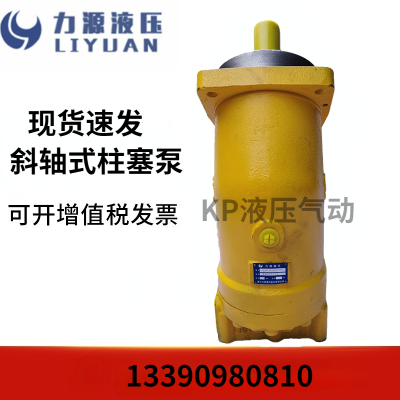 斜轴式柱塞泵中航力源马达