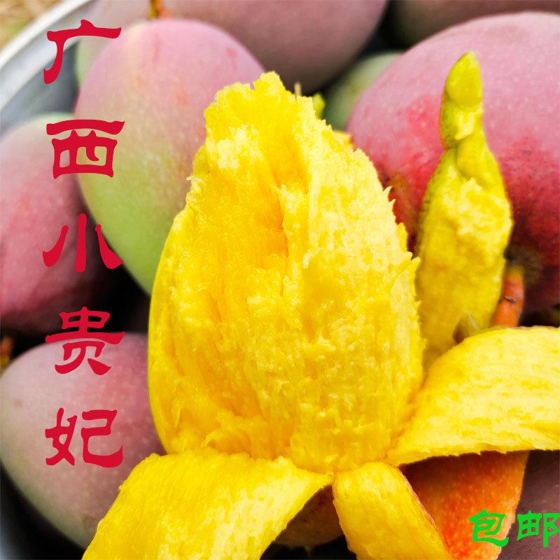 广西百色树上熟大贵妃芒果红金龙当季新鲜现摘热带水果9斤包邮