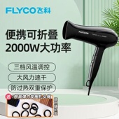 飞科家用大功率电吹风机冷热风酒店宾馆吹风筒静音速干发型师推荐