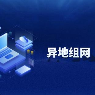 异地组建局域网软件支持所有系统