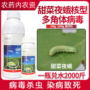 植校长30亿甜菜夜蛾核型多角体病毒悬浮剂甘蓝甜菜夜蛾农用杀虫剂
