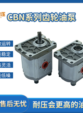 CBN-F310齿轮油泵高压油泵CBN-F520剪板机拖拉机升降台农用机法兰