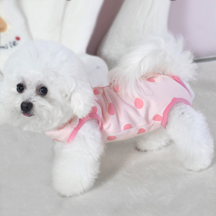 狗狗衣服小型犬夏季 护肚衣泰迪比熊博美纯棉绝育服母猫手术后衣服