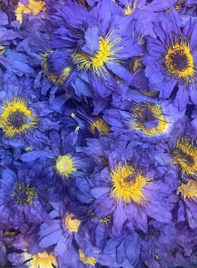 蓝莲花九品香水莲花精选天然蓝莲