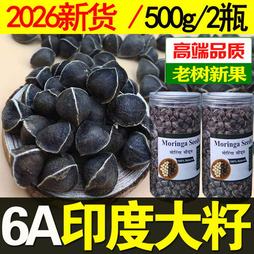 老树辣木籽印度正品野生