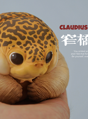 博物志｜2025吨吨动物园龟第六弹窄桥蛋龟辐射陆龟潮玩手办模型