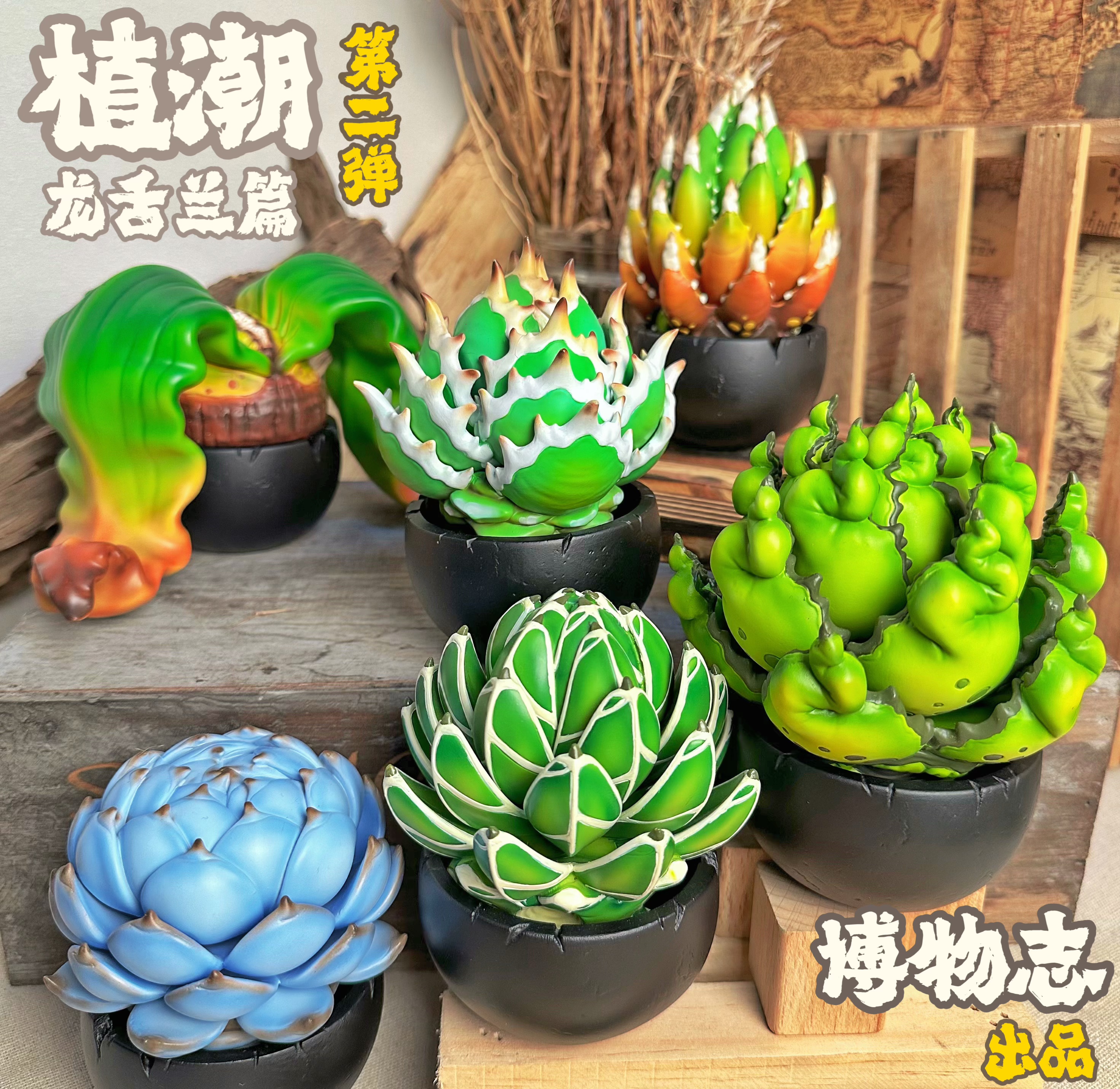博物志原创 植潮第二弹 龙舌兰系列块根植物潮玩手办多肉植物模型