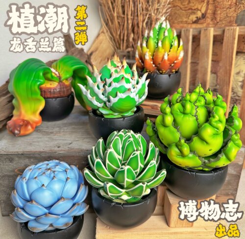 博物志原创 植潮第二弹 龙舌兰系列块根植物潮玩手办多肉植物模型