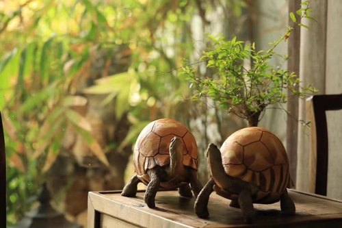 安哥洛卡陆龟模型博物志工作室出品爬宠模型 原创手工制作手办