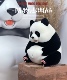 熊猫潮玩手办模型 熊猫减肥日记第1弹捏肚子 植绒版 博物志原创