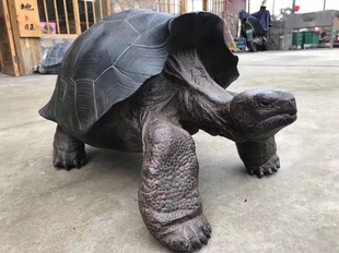 博物志工作室纯手工打造高仿1:1 陆龟模型加拉帕戈斯模型陆龟模型