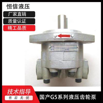 全新派克paker齿轮泵G5-10-A15S-20R G5-12-A15F-20L G5-16-A包邮