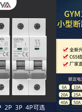GEYA格亚C65空气开关2P 63A小型断路器6kA总闸25A家用40A GYM10