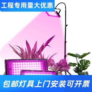 新款全光谱LED植物生长灯育苗种植花草植物补光灯growlight工厂
