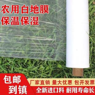白色地膜保湿膜农用膜白地膜塑料膜果园蔬菜花生薄膜微膜保温耐用