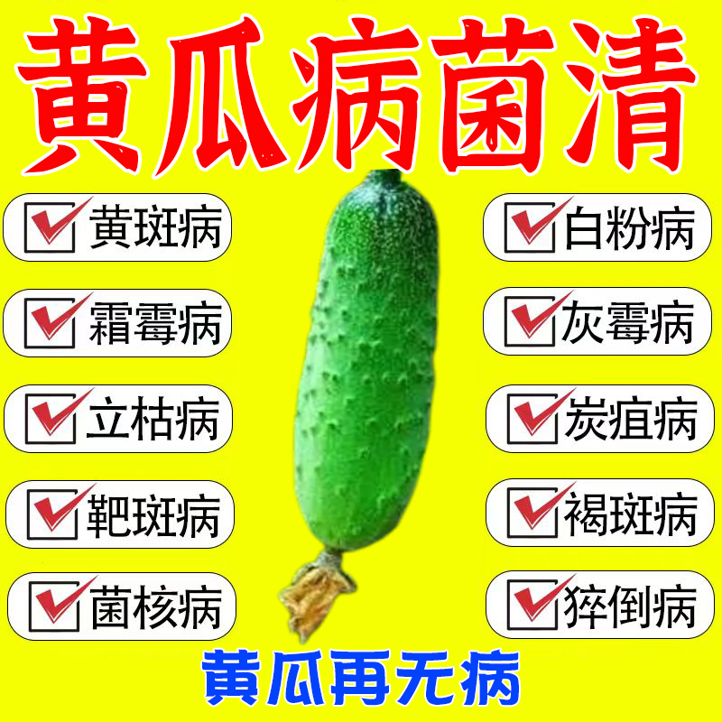 黄瓜霜霉病特效药黄瓜杀菌剂黄叶靶斑虫害病肥料蔬菜杀菌病毒叶面
