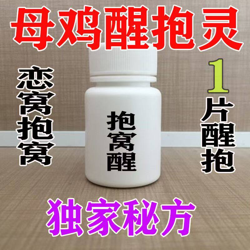 母鸡不再抱窝药鸡抱窝醒鸡鸭鹅通用母鸡醒抱灵药速效醒抱灵醒孵化