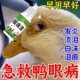 鸭子眼部疾病眼睛发红炎眼药水鸡鸭鹅眼睛睁不开通用鸭流泪眼肿药