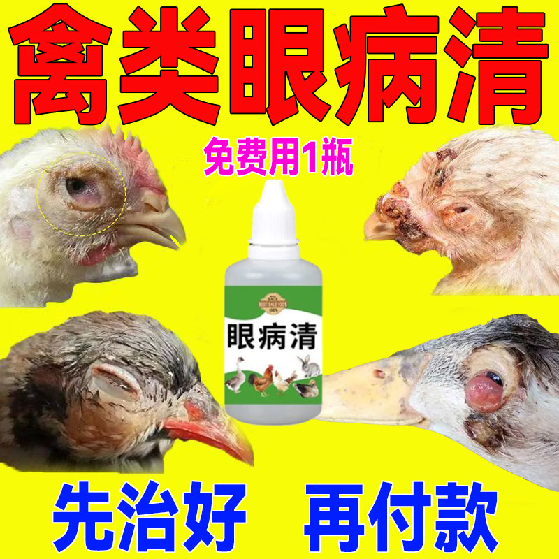 鸭子眼部疾病眼睛发红炎眼药水鸡鸭鹅眼睛睁不开通用鸭流泪眼肿药