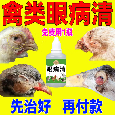 鸭子眼部疾病眼睛发红炎眼药水鸡鸭鹅眼睛睁不开通用鸭流泪眼肿药