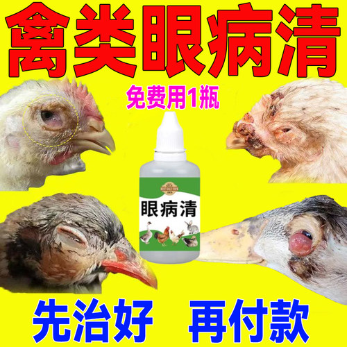 鸭子眼部疾病眼睛发红炎眼药水鸡鸭鹅眼睛睁不开通用鸭流泪眼肿药