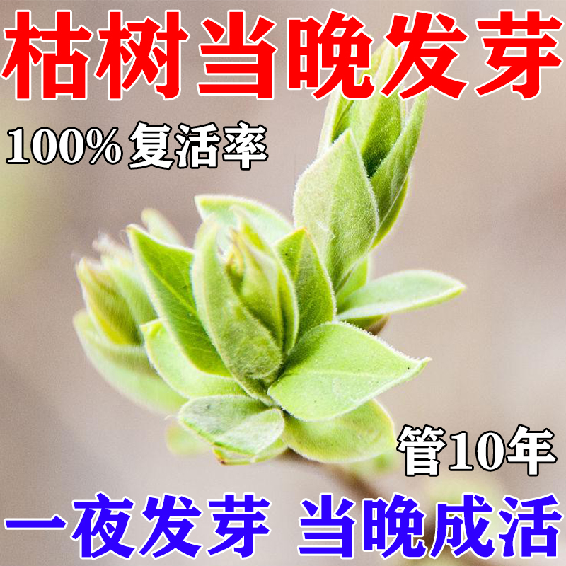 大树复活生根粉【不活包褪】