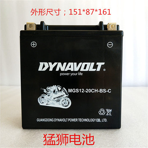 猛狮摩托车电瓶12v20CH哈雷林荫大道VZR1800巡航太子M109R蓄电池
