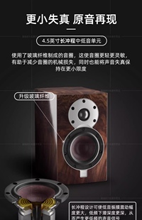 DALI/达尼音响皇太子SE纪念版家用hifi高保真小音箱2.0声道发烧级