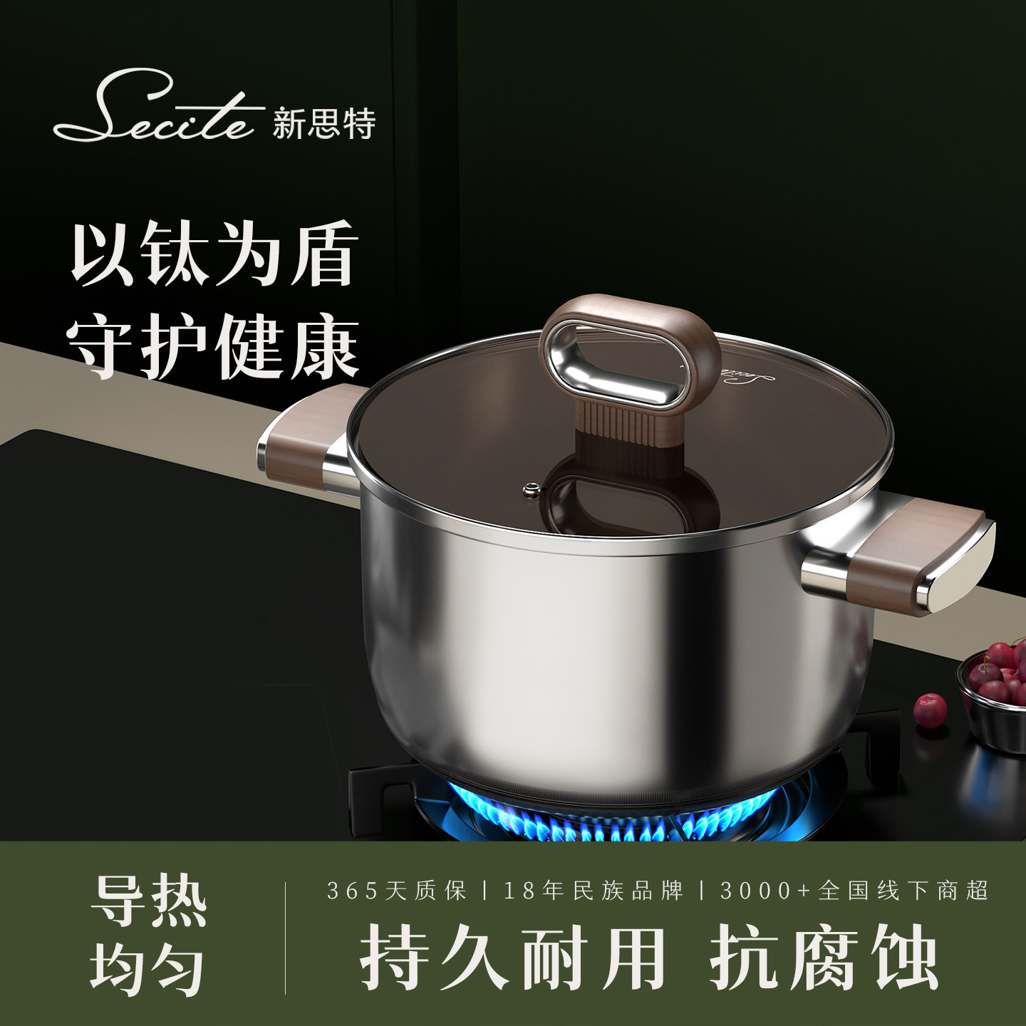 新思特钛盾Pro大容量汤锅煲煮锅炖锅家用双耳锅电磁炉燃气灶通用