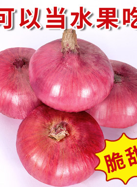 新鲜紫皮水果洋葱扁洋葱甜味生吃脆甜5斤装蔬菜不辣红皮葱头批发