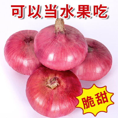 新鲜紫皮水果洋葱扁洋葱甜味生吃脆甜5斤装蔬菜不辣红皮葱头批发