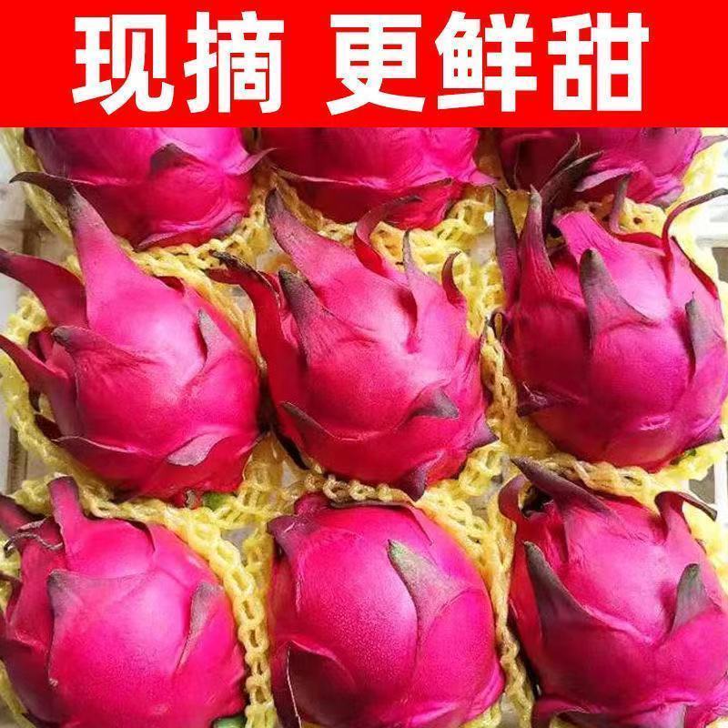 10斤】火龙果红心新鲜当季水果精选品质皮薄多汁孕妇产地直供批发