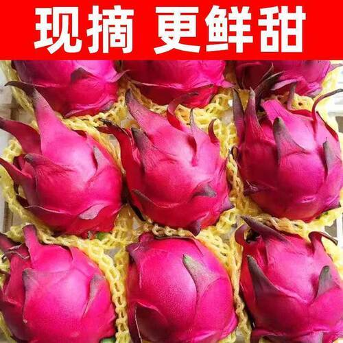 10斤】火龙果红心新鲜当季水果精选品质皮薄多汁孕妇产地直供批发