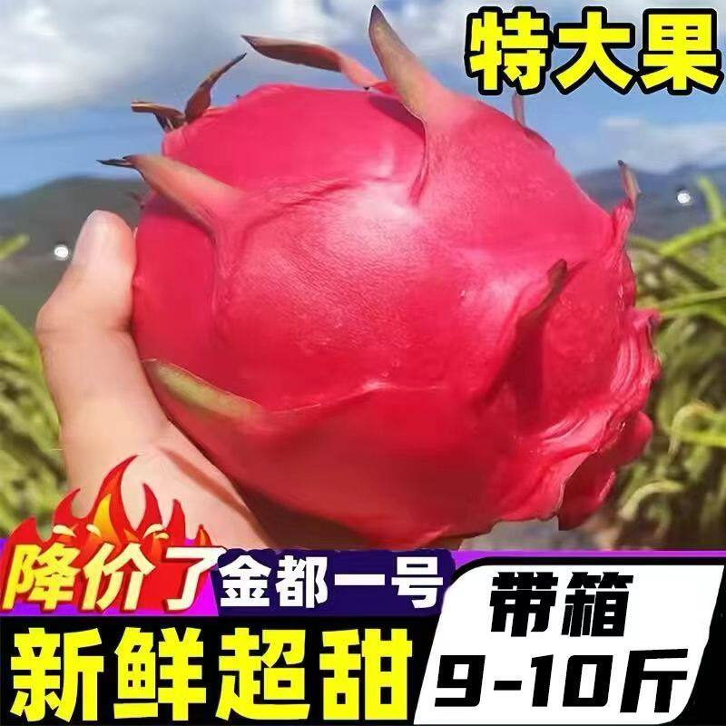 10斤】火龙果红心新鲜当季水果精选皮薄多汁孕妇云南产地直供批发