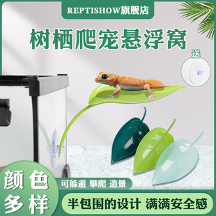 爬宠d悬浮窝吸盘仿真植物躲避攀爬树栖造景睫角守宫姥爷树蛙