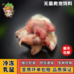 【顺丰包邮】冷冻乳鼠红粉皮白霜冰冻独立包装爬宠宠物饲料喂蛇