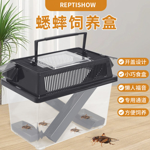 蟋蟀饲养盒爬宠养殖箱携带蛐蛐螳螂昆虫通风养殖架蝈蝈笼子清理