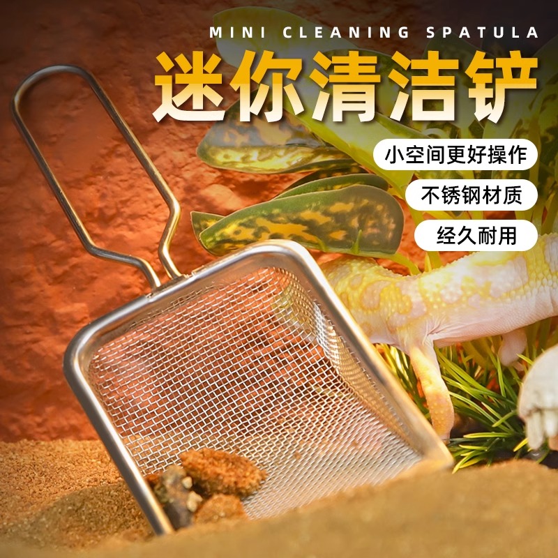 爬宠饲养箱清洁铲爬虫专用不锈钢漏沙铲爬虫钙沙蜥蜴守宫粪便清理