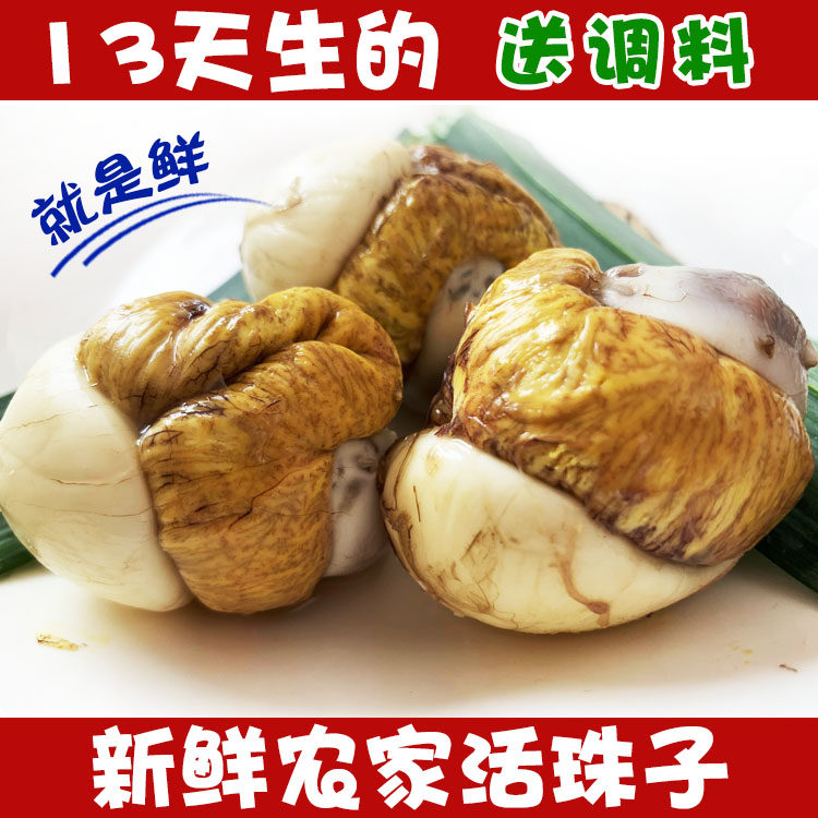20枚鲜即食13天五香活珠子新鲜非原味14天毛蛋钢化蛋毛鸡蛋凤凰蛋