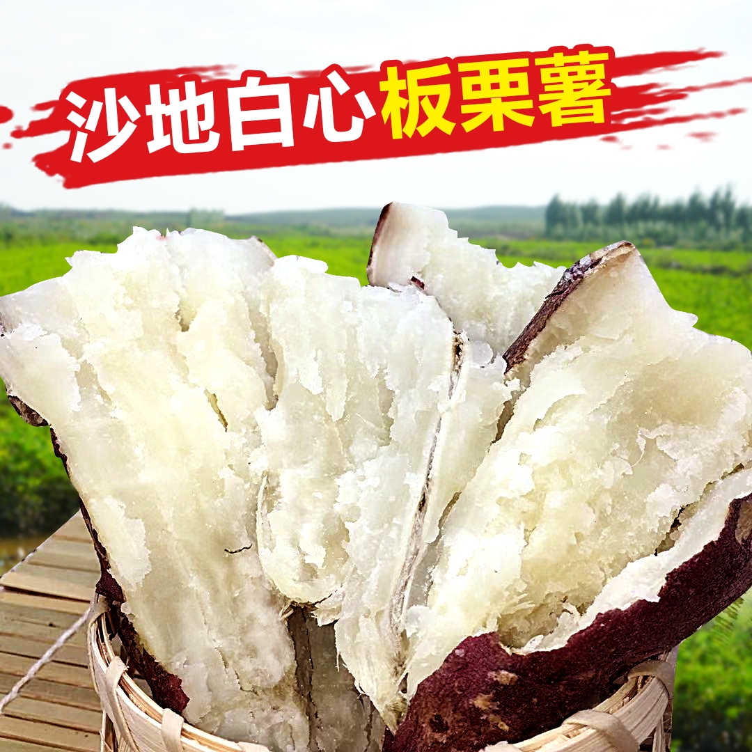 现挖正宗当季红皮白心板栗薯农家自种地瓜新鲜番薯老品种山芋红苕