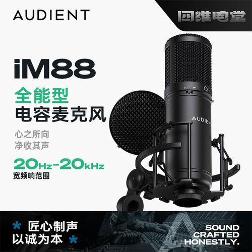 AudientiM88大振膜电容麦克风