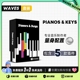 Pianos Keys键盘系列乐器高品质专业母带音色 Waves插件