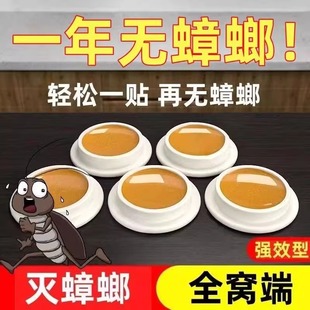 绝杀 蟑螂药一窝全窝端家用非无毒孕妇婴儿贴墙灭小强章狼神器正品