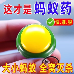 灭小黄蚂蚁药家用非无毒一锅全窝端室内杀驱防除黑红火蚁饵剂强力