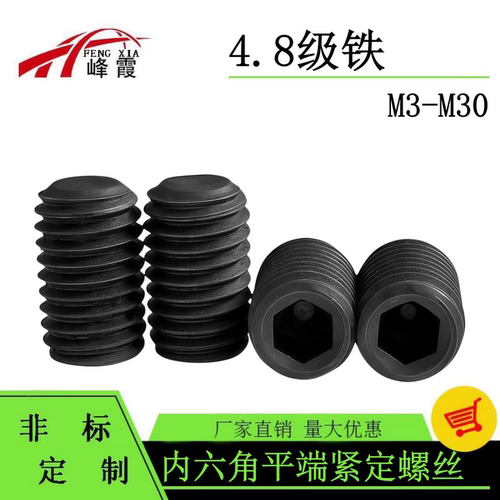 4.8级铁内六角平端紧定螺钉GB77